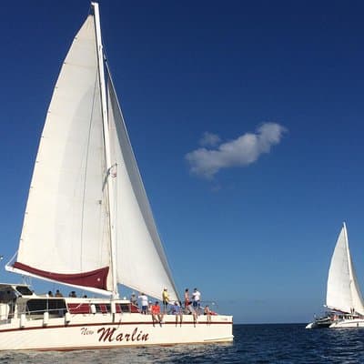 Marlin del Rey Sailing Tours