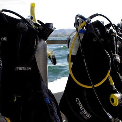 Two Tanks Scuba Diving Tour at Catalina Islands & North Island - CR photo 2