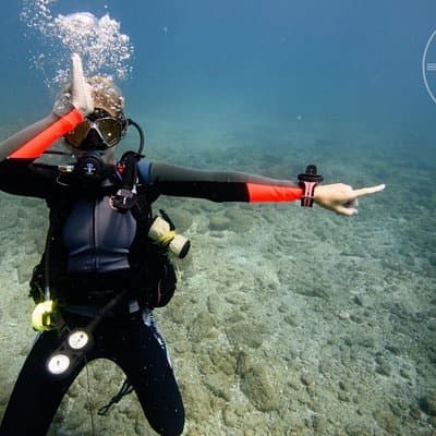 Two Tanks Scuba Diving Tour at Catalina Islands & North Island - CR photo 5