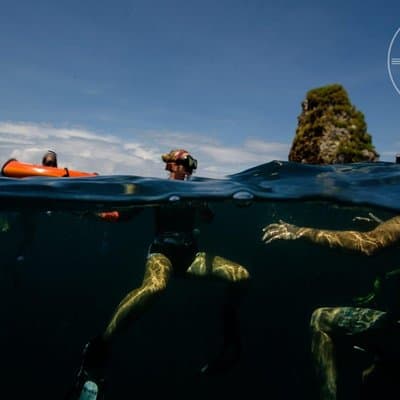 Snorkeling at Catalina Islands & North Island - CR photo 3