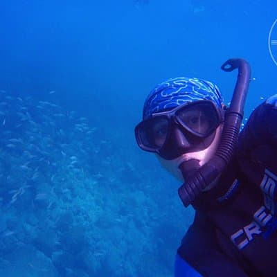Snorkeling at Catalina Islands & North Island - CR photo 4