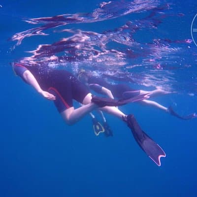 Snorkeling at Catalina Islands & North Island - CR photo 5
