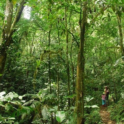 Hiking Trail in the Natural Reserve