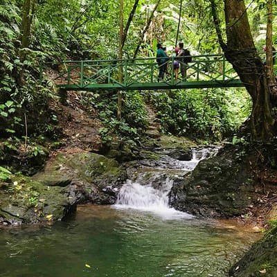 Bridge in the Hacienda Ebano Natural Reserve's trail