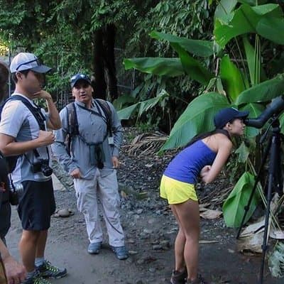Carara National Park Birdwatching Private Guided Tour Experience. photo 4