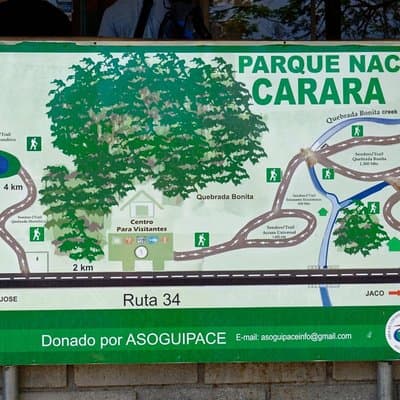 Carara National Park Birdwatching Private Guided Tour Experience. photo 5