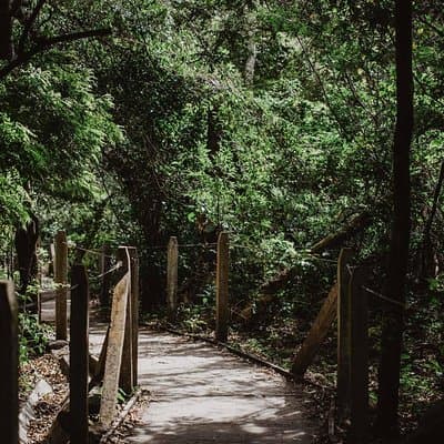 Rincón de la Vieja National Park