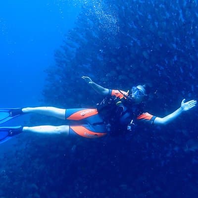 Diver in schools of fish