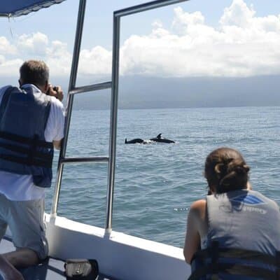 Whales and Dolphins watching Tour From Uvita photo 4