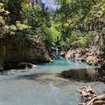 We have to swim here