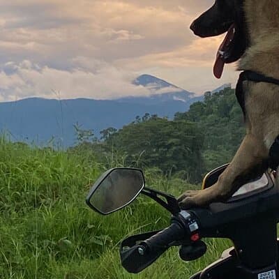 Scooter Rentals in Manuel Antonio photo 3