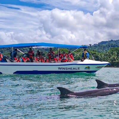 Whale Watching at the Marino Ballena National Park photo 2