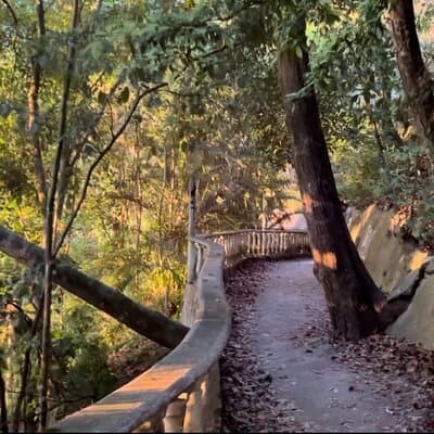 2 Hours Private Guided Hiking Experience to El Miro in Jaco photo 4