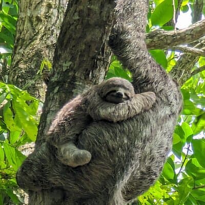 Private Trip to Waterfalls and Beaches in Costa Rica photo 2