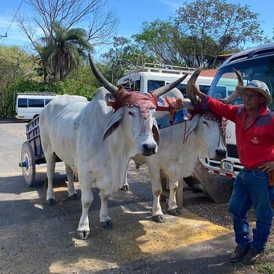 Private tour in the Rincon de la Vieja National Park photo 5