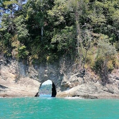 Whale watching Combo Tour Marino Ballena National Park (mid day) photo 5