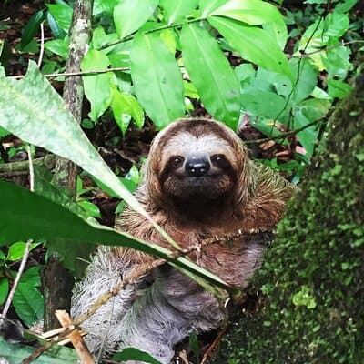 Explore Manuel Antonio National Park with Expert Guide photo 3