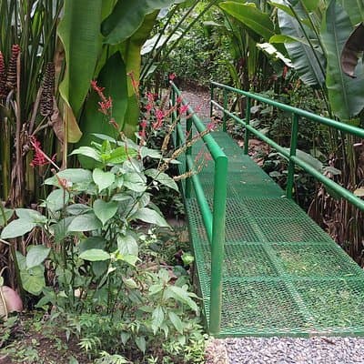 One of the bridges of ANURA, where you can see the trail