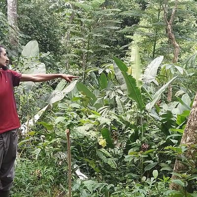 Biologist Alberto pointing out the location of an animal