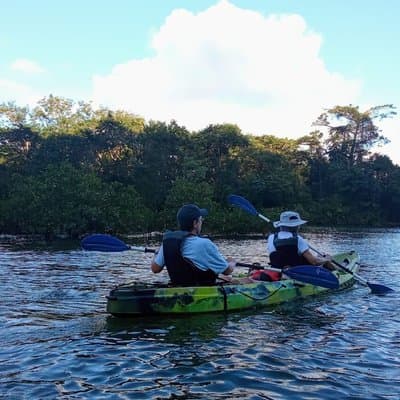 Mangrove Kayak - near Sámara & Carrillo Beach photo 4