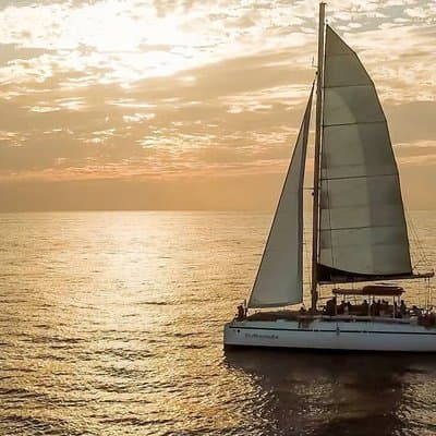 Catamaran Snorkel Sunset Cruise from Tamarindo or Playas del Coco photo 3