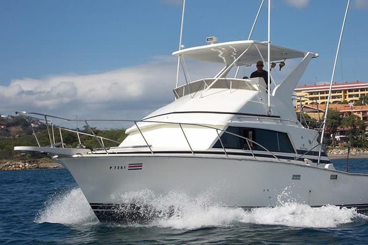 Full Day Sport Fishing Tour from Flamingo Beach