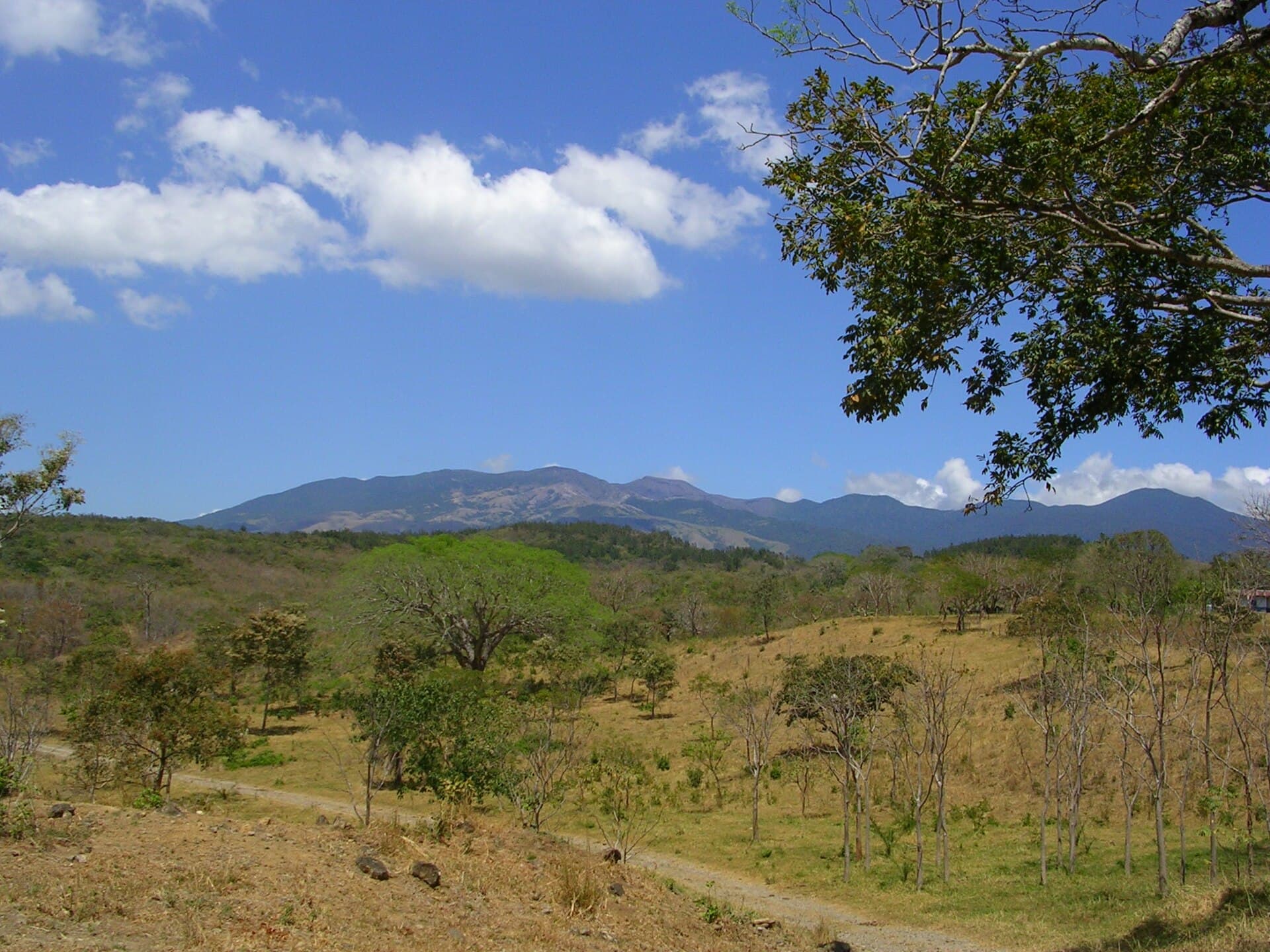 Rincon de la Vieja volcano rising over the Guanacaste dry forest