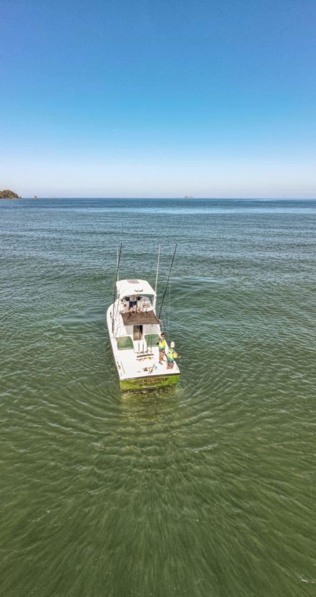 A sport-fishing boat seen from above on calm green water