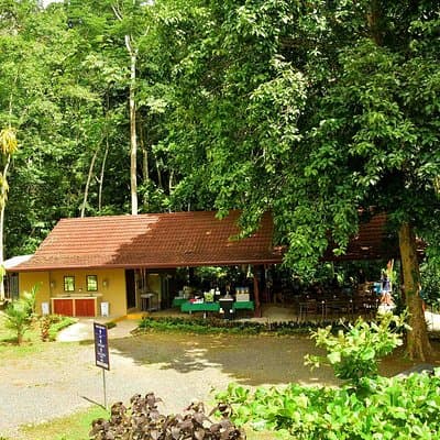 Jungle Restaurant