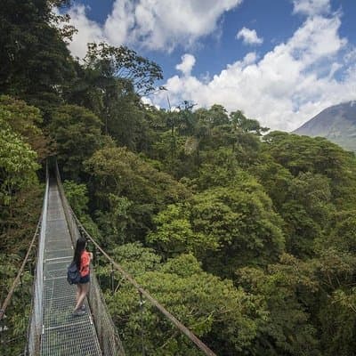 Combined Tour (Hanging Bridges, La Fortuna Waterfall, Arenal Volcano) photo 2