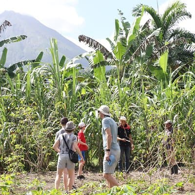 Costa Rica Descents Organic Farm photo 5