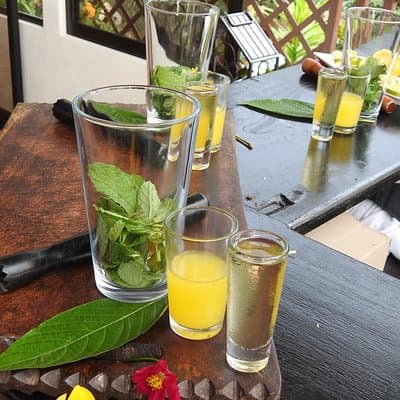 Mint Mojitos