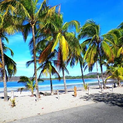 Shuttle Service From Liberia Airport To Samara And Carrillo Beach photo 4