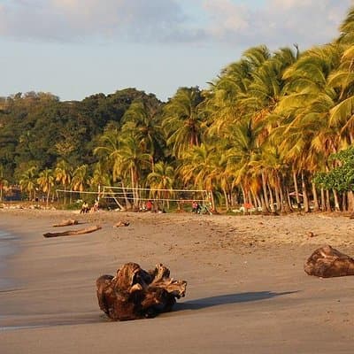 Shuttle Service From Liberia Airport To Samara And Carrillo Beach photo 3