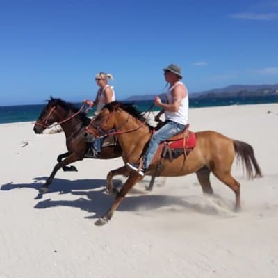 1,5 Hours Private Horseback Riding Tour in Playa Conchal photo 4