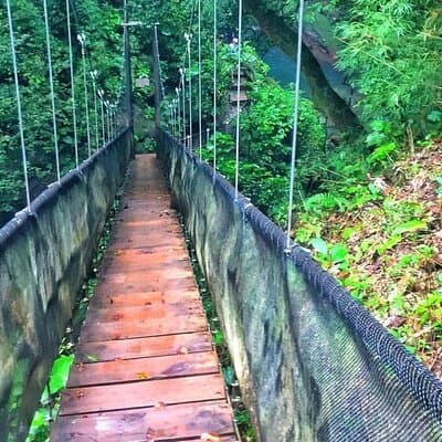 Oropendola Waterfall Bridge