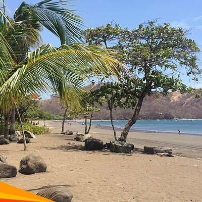 Shuttle Service From Liberia Airport To Samara and Carrillo Beach photo 4