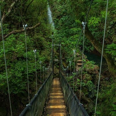 3-in-1 Rincon de la Vieja National Park Nature Day Tour photo 4