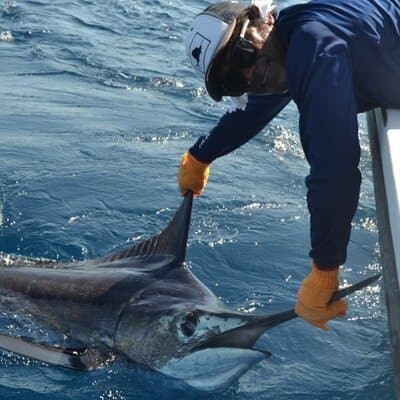 Fishing Charter In Tamarindo With Food & Beverages photo 4