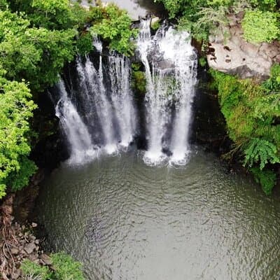 Tenorio Rainforest Hanging Bridges, waterfall and Sloth Encounter photo 3