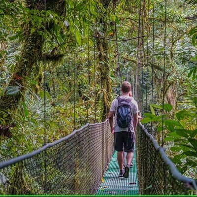 Tenorio Rainforest Hanging Bridges, waterfall and Sloth Encounter photo 4