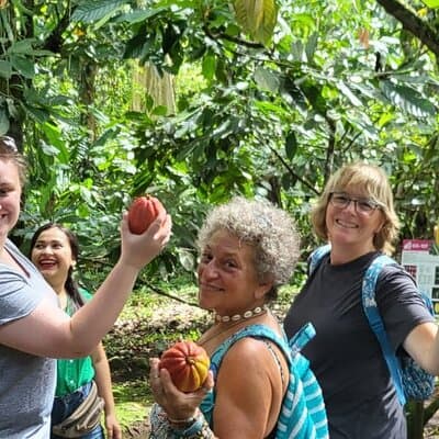 Eden Chocolate Tour with Lunch Included photo 4