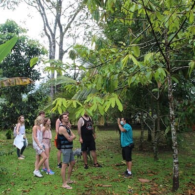Costa Rica Descents Organic Farm photo 2