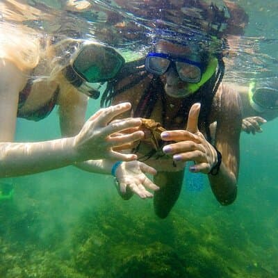 Isla Chora Kayak and Snorkel Activity photo 4