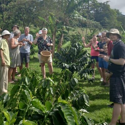 Cultural: Coffee & Chocolate Tour+Wildlife Trail+Waterfall Swim photo 3