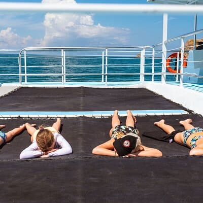 Flamingo Family Fun Catamaran Snorkel:Comfortable shaded seating photo 3