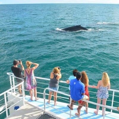 Flamingo Family Fun Catamaran Snorkel:Comfortable shaded seating photo 2
