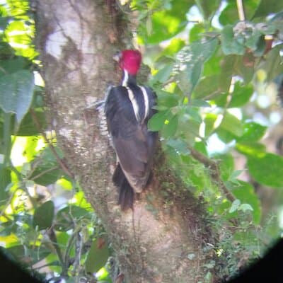 Transportation from La Fortuna to Tamarindo Beach photo 4