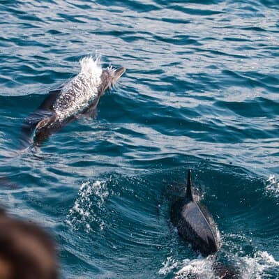 Catamaran and Snorkeling Tour in Costa Rica photo 5