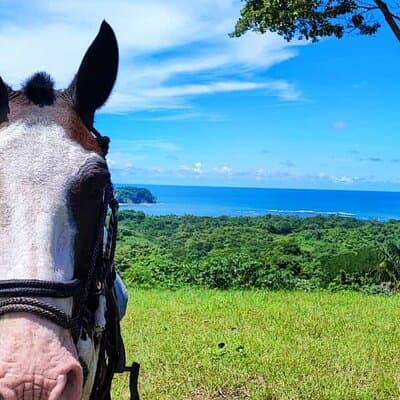 Horseback Riding in Puerto Carrillo: Beach & Jungle photo 4
